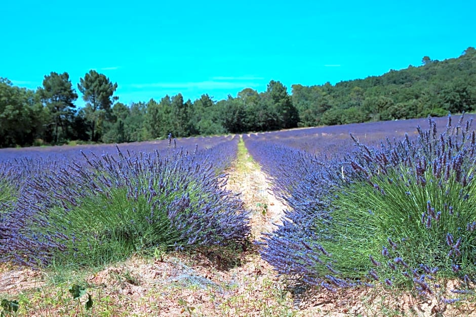 Les Yourtes de Provence