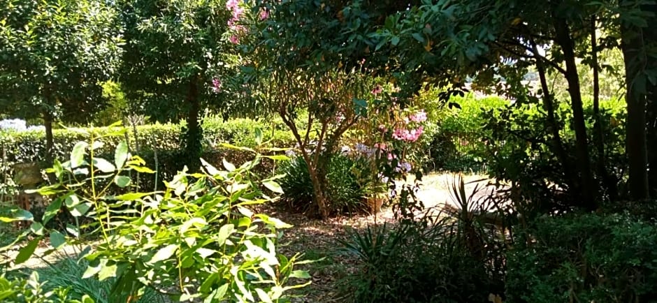 Il giardino di Emilia