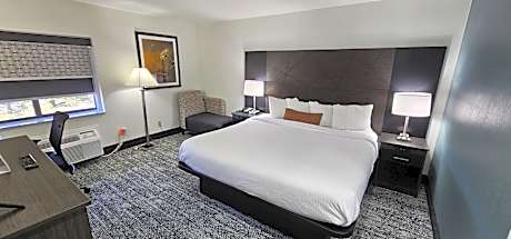 1 King Bed Nonsmoking