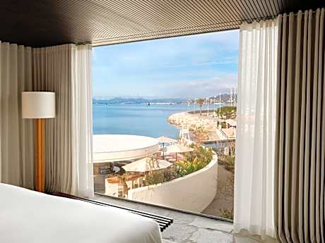 Suite Executive