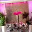 Hollywood VIP Hotel