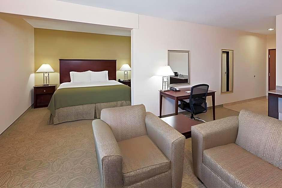 Holiday Inn Express Hotel & Suites Brownfield By IHG
