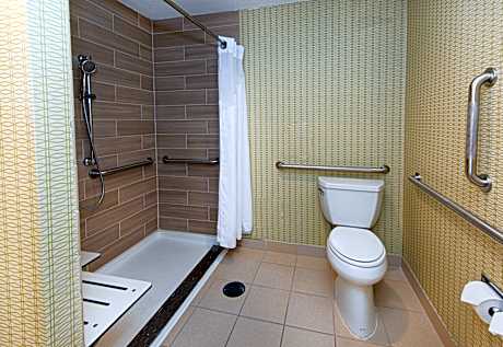 2 Queen Standard Mobility Accessible Roll in Shower