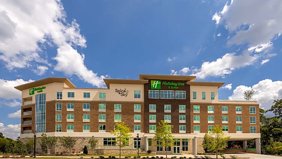 Holiday Inn & Suites Atalnta Permiter-Dunwoody