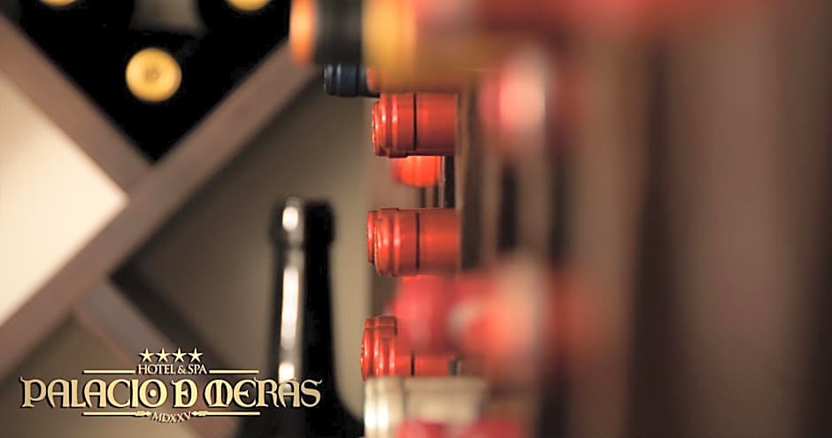 Hotel Palacio de Mer