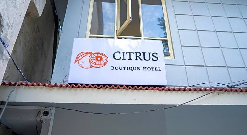 Citrus Boutique Hotel