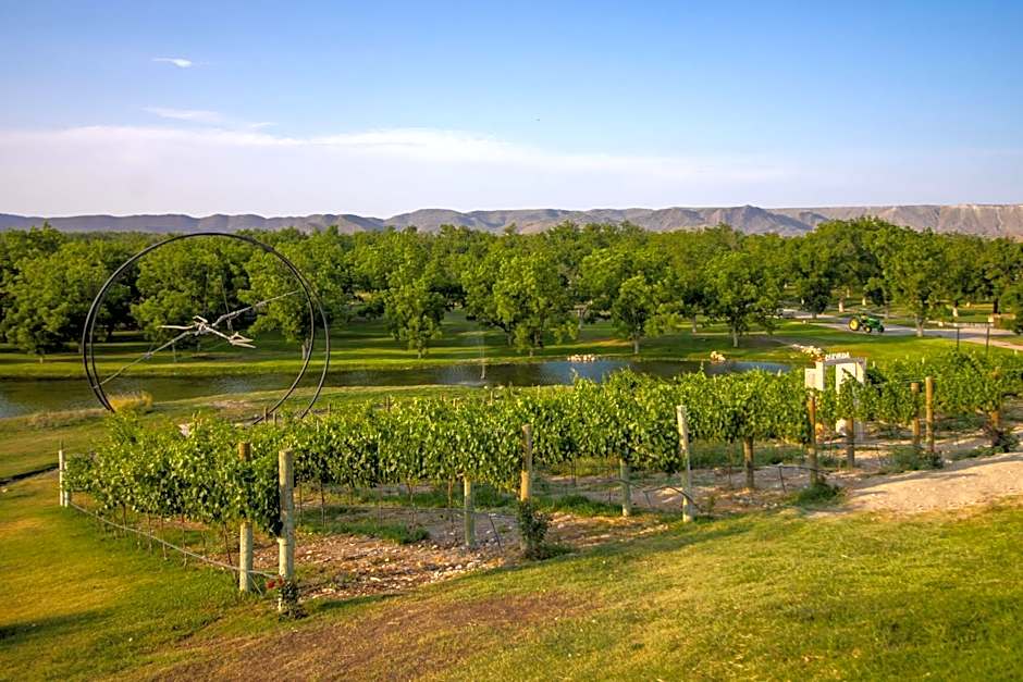 Hotel Vinícola Parvada by Lumina