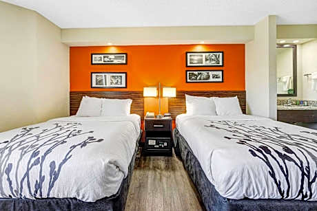 Double Room with Two Double Beds - Accessible/Non-Smoking