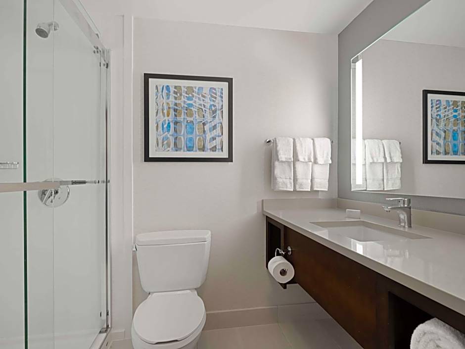 Hilton Garden Inn Chicago Downtown/Magnificent Mile