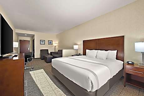 1 King Bed Suite Nonsmoking Accessible