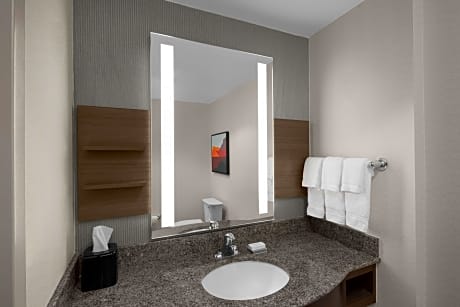 1 King 1 Bedroom Suite With Sofabed