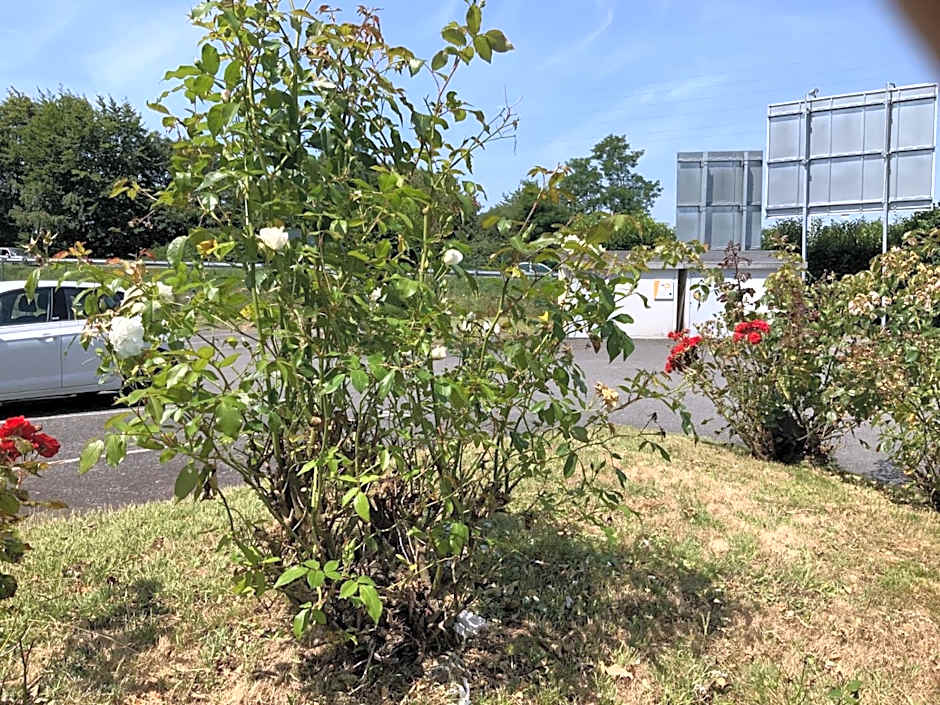 Premiere Classe Vannes