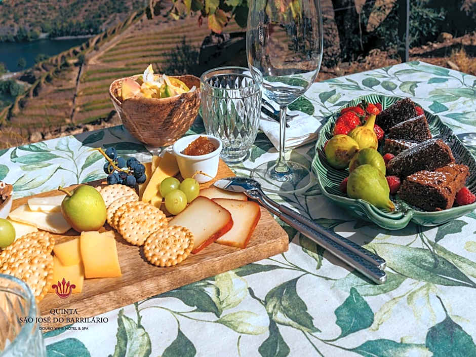 Barrilario Douro Wine Hotel e Spa - Quinta São Jose do Barrilario