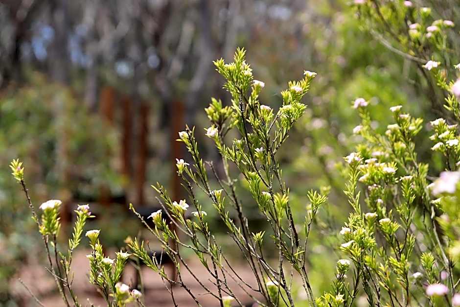 Sinofield Edu-Retreat