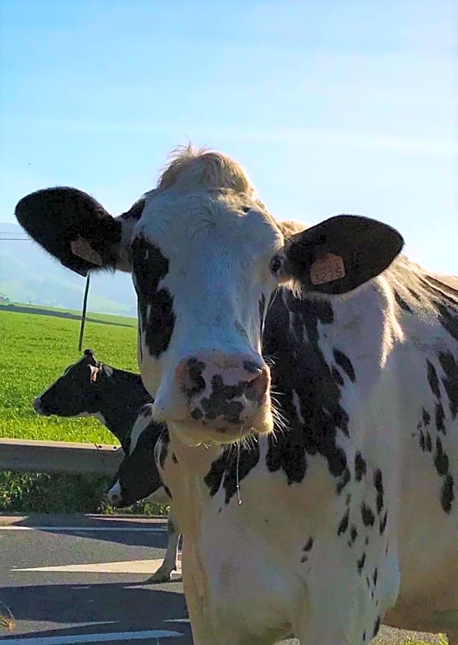 CASA INTI / INTI HOUSE FURNAS