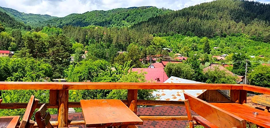 Casa de Vacanta Neagu