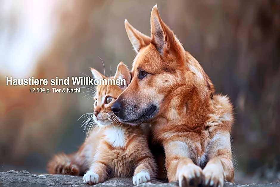 Panorama Ferien Hotel Harz