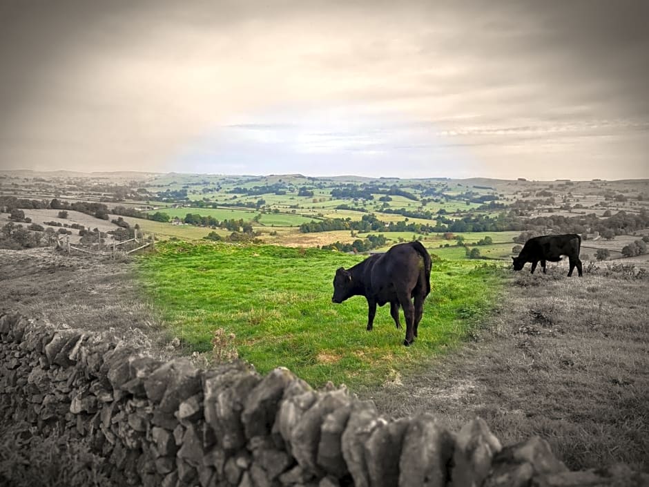 The Greyhound Inn Warslow