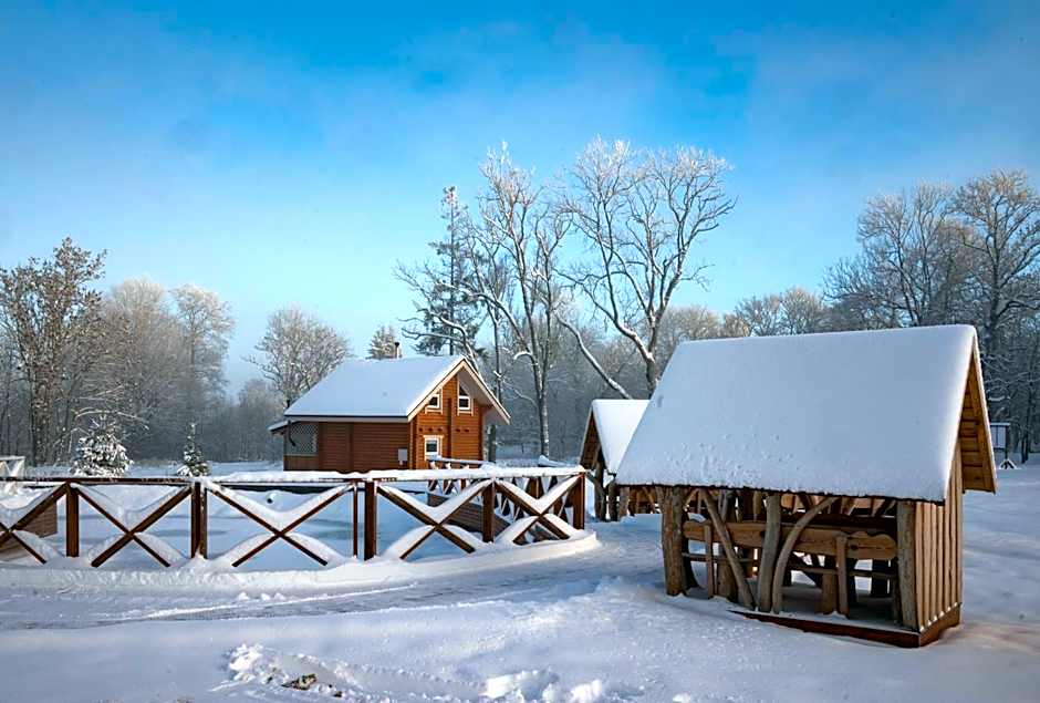 Üksik Rüütel Hotel