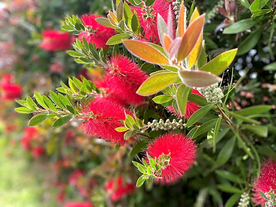 Ibis Budget Bilbao Arrigorriaga