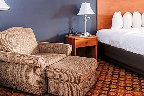 1 King Bed Non-Smoking