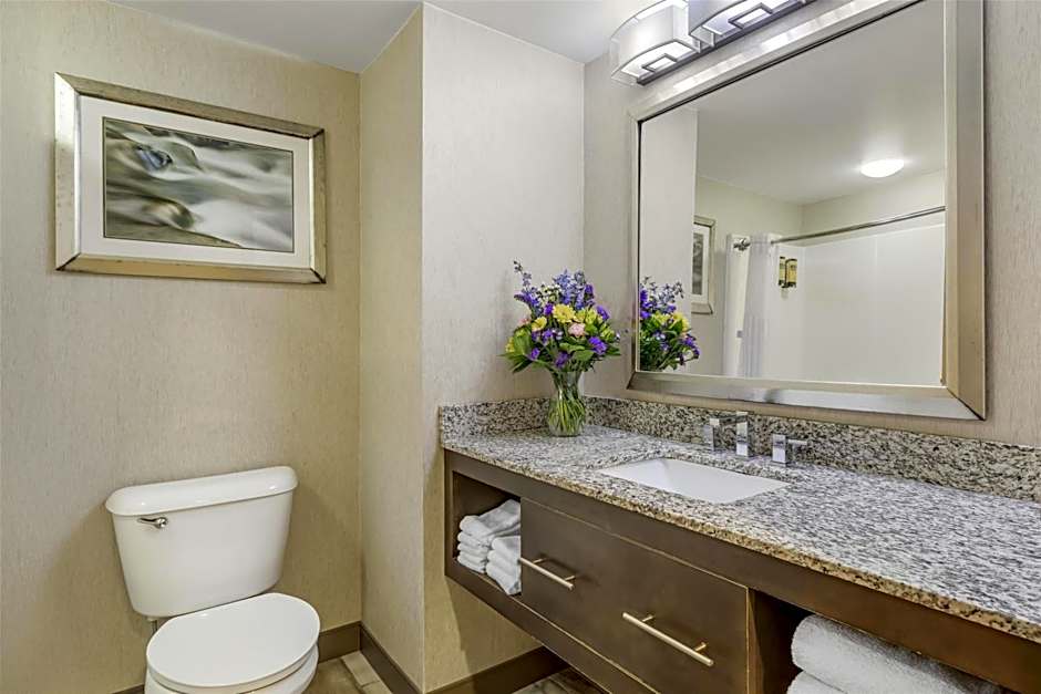 Best Western Plus River Escape Inn & Suites