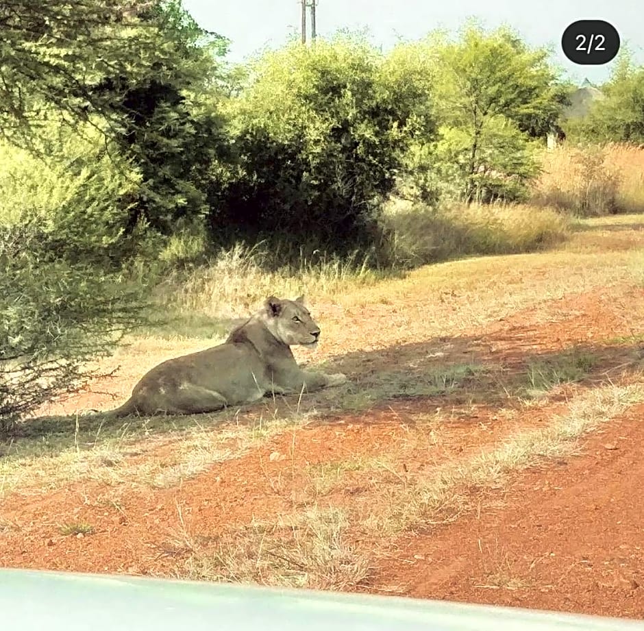 Muqurati Lodge - Dinokeng Game Reserve