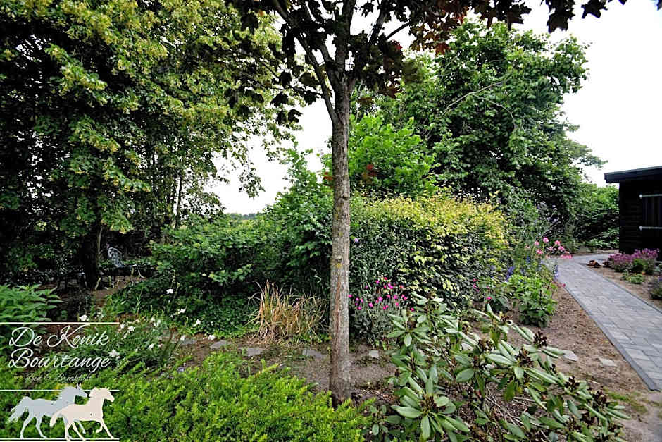 B&B De Konik Bourtange