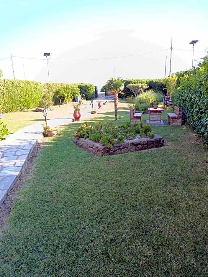 Studios Tripiti