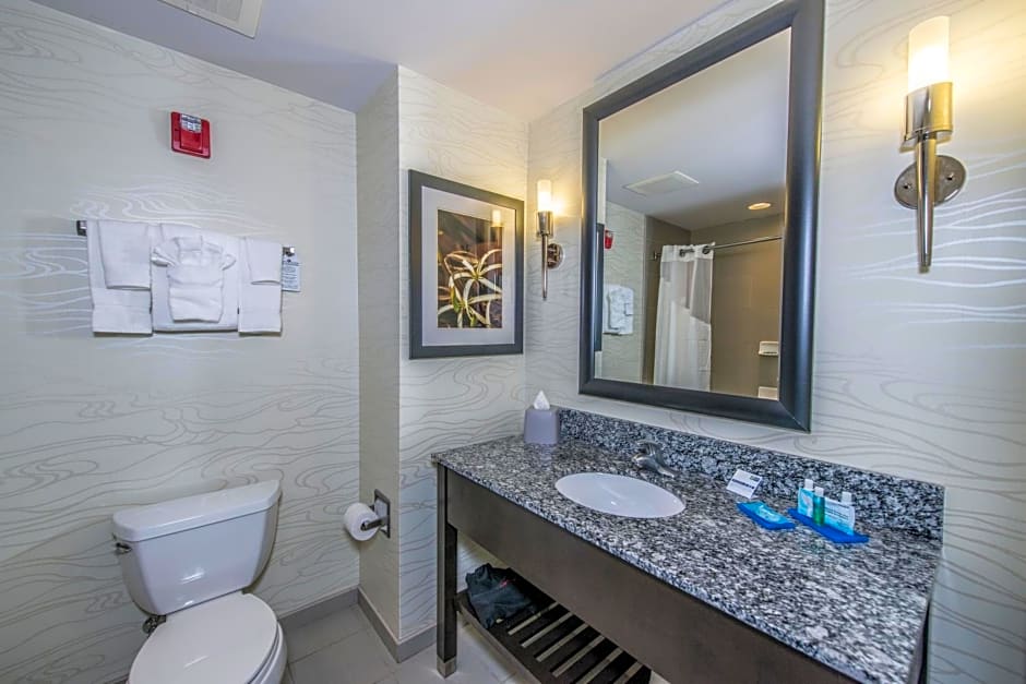 Holiday Inn Express and Suites North Charleston, an IHG Hotel