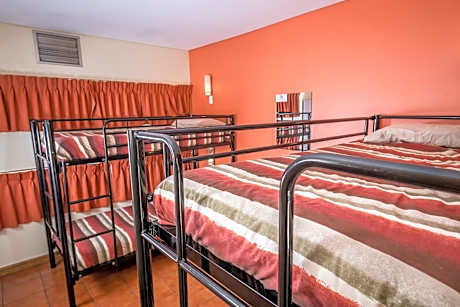 Single Bed in 16 Bed Mixed Dormitory Room