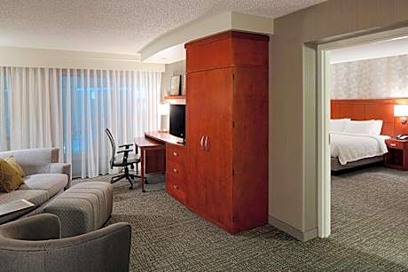 Suite, 1 King, Sofa bed