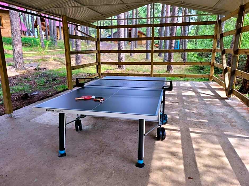 Zakątek Borsk, Jasnochówka 2, domek 37