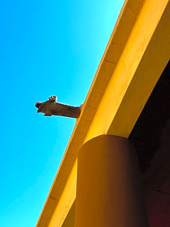 CASA PENUMBRA- Centro Oaxaca