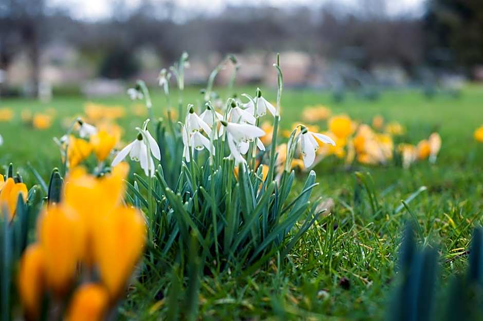 Summer Lodge Country House Hotel