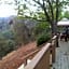Yosemite Bed and Breakfast
