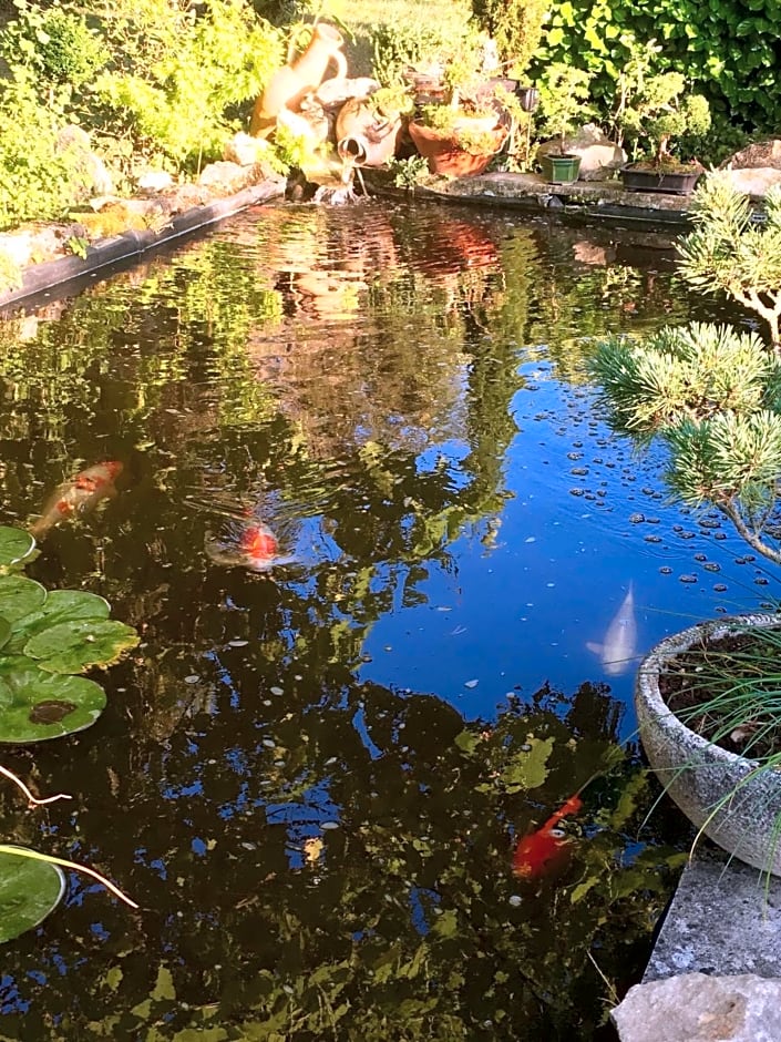 Les rêves d'Angèle