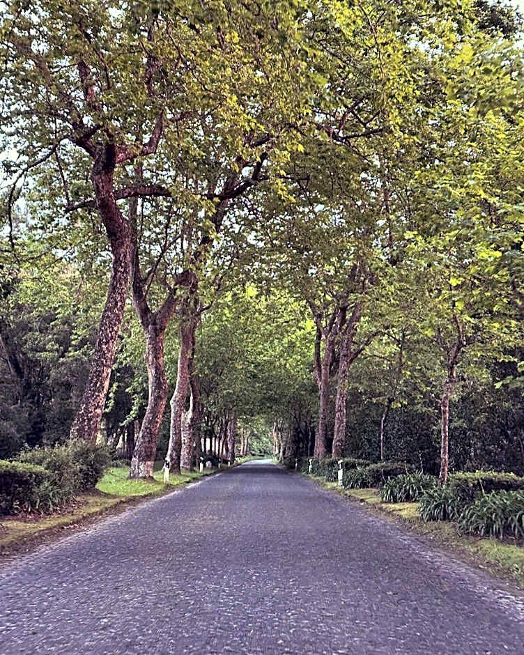 Azor International Hostel