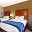 Comfort Inn & Suites Lynchburg Airport - University Area