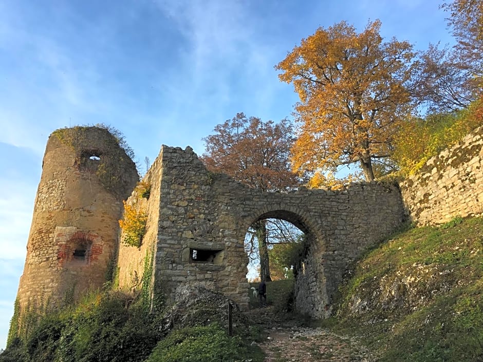 La Maison des Fontaines d'Alsace