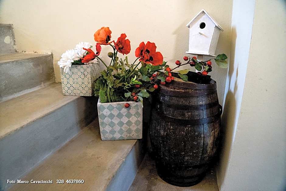 Il Bosso di Toscana