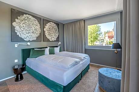 Double Room with Terrace