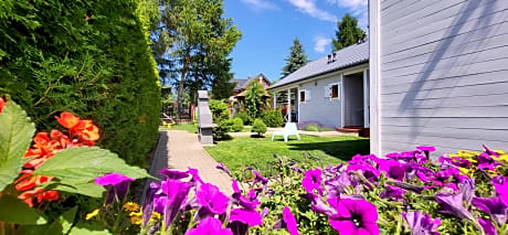 Domki letniskowe Chabrowa 1