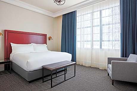 Room, 1 King Bed with Sofa bed (1 King Bed and 1 Double Sofa Bed)