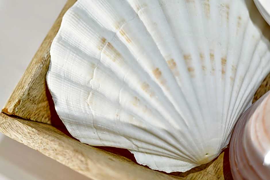 Bla Marine Domki nad Morzem