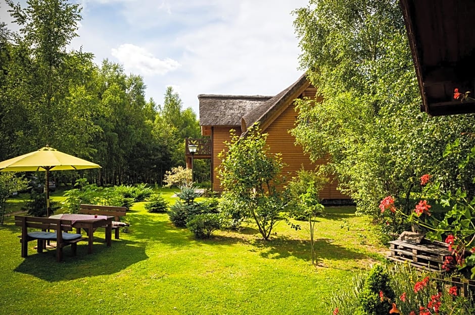 Brzozowy Gaj – Klecino, VA