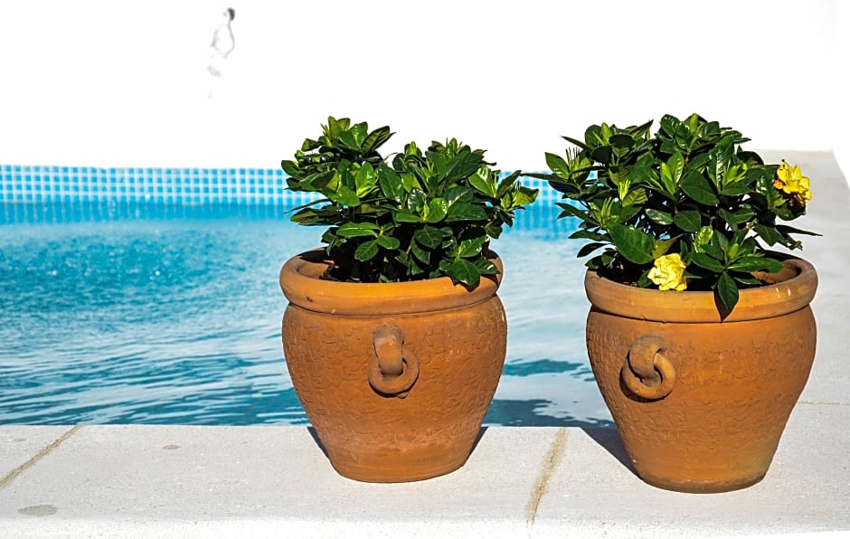 Aguilas5 SevillaSuites