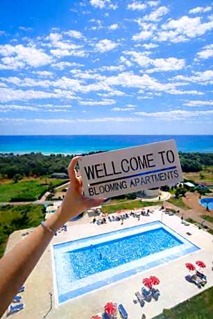 Blooming by the Sea - camere cu vedere frontală spre mare