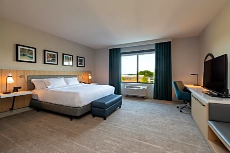1 King Bed