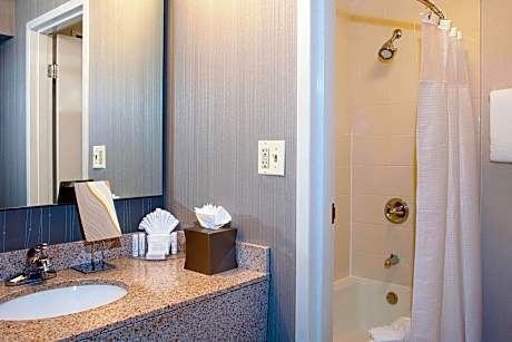 Suite, 1 King Bed with Sofa bed (1 King Bed and 1 Double Sofa Bed)